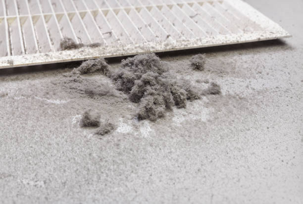 Best Commercial Air Duct Cleaning  in Memphis, MO
