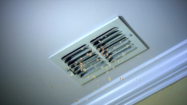 Best Duct Cleaning for Offices  in Memphis, MO
